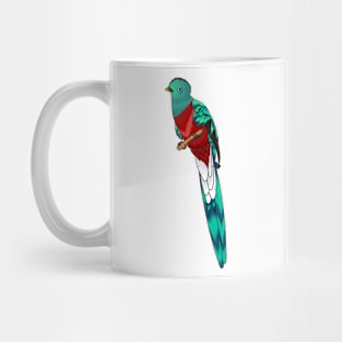 Resplendent quetzal bird cartoon illustration Mug